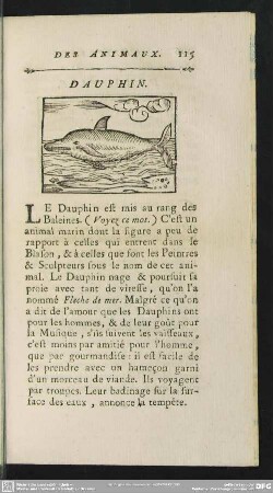Dauphin