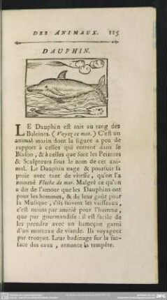 Dauphin
