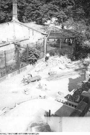 Dresden, Zoologischer Garten Dresden, kriegszerstört, August 1945