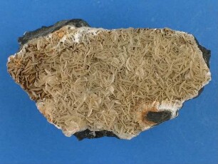 Magnesit