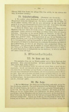 B. Winterhalbjahr