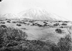 Pico del Teide : Der Vulkan Pico del Teide und Umgebung