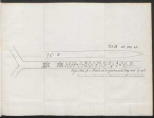Tab. III. ad pag. 49