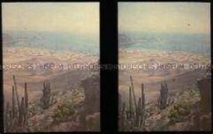 Blick auf die chilenische Hafenstadt Taltal