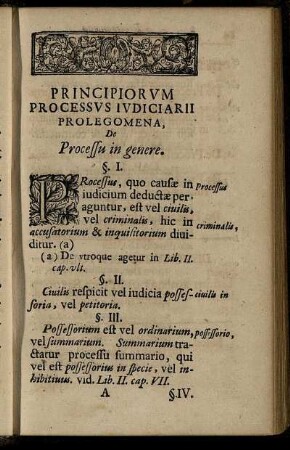 Prolegomena, De Processu in genere.