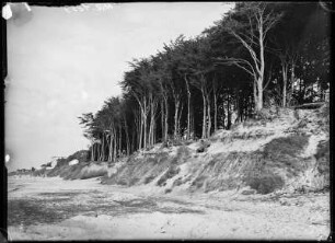 Ostseebad Henkenhagen (Ustronie Morskie/Polen). Dünenlandschaft
