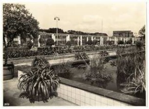 Gartenschau Sommerblumen am Funkturm, Berlin: Wasserbecken mit Wasserpflanzen