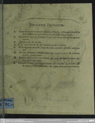 Rectore Magnificentissimo Serenissimo Principe Ac Domino Domino Guilielmo Henrico Duce Saxoniae Iul. Cliv. Mont. Ang. Et Westphaliae Ac Reliqua ... Casum Medico-Chirurgicum De Fractura Cruris Cum Vulnere