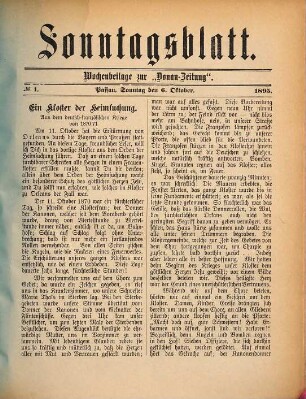 Donau-Zeitung. Sonntagsblatt. 1895