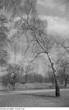 Blick in den Park mit dem Neuen Rathaus im Hintergrund