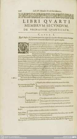 DE URINARUM QUANTITATE.