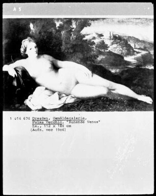 Ruhende Venus