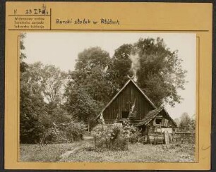 Spreewald: Wohnhaus mit Garten in Lehde. : Błótowska krajina: Dom ze zahrodu na Lědach.
