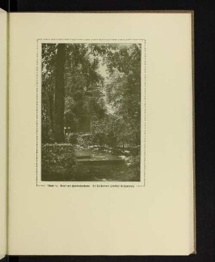 Gruft mit Hainbuchenhecke. St. Catharinen-Friedhof in Hamburg