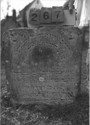 Grabstein 267 (Index: 99786822) Zustand: zur Hälfte eingesunken Maße HxBxT: 64x58x13 cm: Grabstein 267