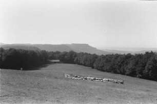 Weide : Albtrauf mit Weiden und Wald