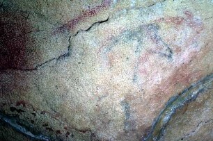 Altamira: SW320402