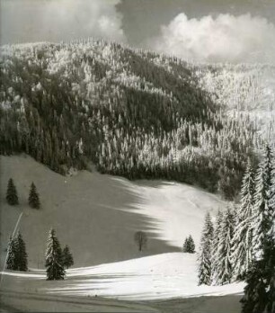 "Nordhang am Feldberg"