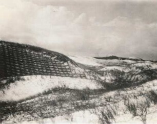 Ostseeküste (bei ehem. Wittenberge bei Lauenburg). Festlegung von Dünen, Anpflanzung von Strandhafer