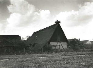 Oberlausitzer Niederung. Storchennest auf Bauernhaus