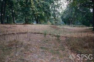 Potsdam, Park Sacrow, Wegebau östlich des Hauptwegs.