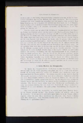 8. Glatte Muskeln des Sehapparates.