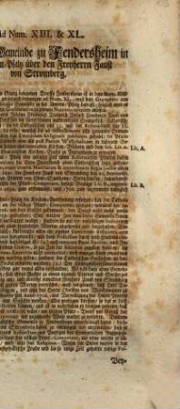 Klage der Gemeinde zu Fendersheim in der Untern-Pfaltz über den Freiherrn Faust von Stromberg