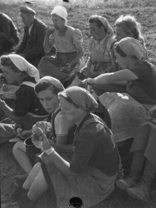 Cotta, Arbeitspause auf einem Feld : Cotta. Getreideernte. Arbeitspause