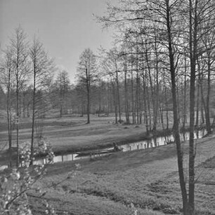 Landschaftsbild. Frühling im Spreewald. : Wobraz krajiny. Nalěćo w Błótach.