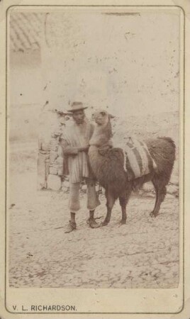 La Paz. Lama mit Erz beladen