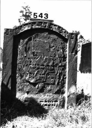 Grabstein 543