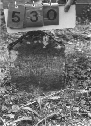 Grabstein 530 (Index: 99787887) Material: Sandstein Zustand: sehr stark verwittert mit fast vollständigem Textverlust Maße HxBxT: 38x30x9 cm Besonderheit: Kindergrab: Grabstein 530