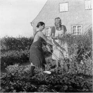 Arbeitsmaid des Reichsarbeitsdienstes und Bäuerin bei der Gartenarbeit