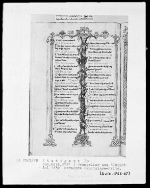 Evangeliar aus Alspach (Elsass) — Capitulare-Seite, Folio 113verso