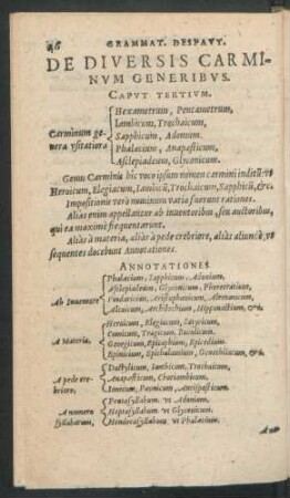 De Diversis Carminum Generibus. Caput Tertium.