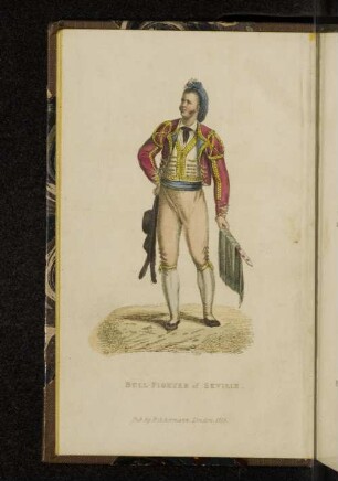Bull-Fighter of Seville