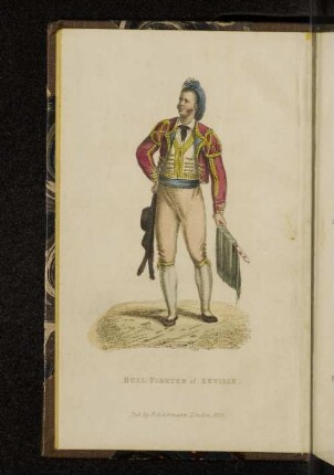 Bull-Fighter of Seville