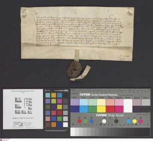 Seligenstadt: Johannes moguntine sedis archiepiscopus instaurationem, erectionem, dotationem et fundationem altaris consecrati in honorem b. Marie...