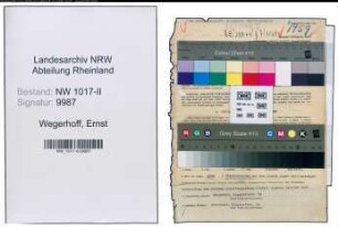 Entnazifizierung Ernst Wegerhoff , geb. 05.10.1893 (Fabrikant)
