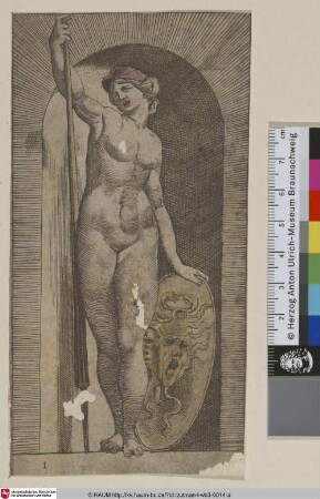 [Minerva; Pallas]