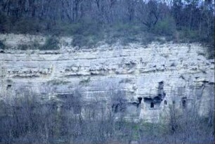 Buchfarter Felsenburg, am Steilufer über der Ilm im Mittelalter angelegt