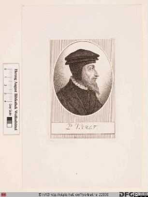 Bildnis Pierre Viret (lat. Petrus Viretus)