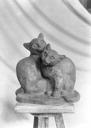 Katzen (Zwei Katzenkinder)