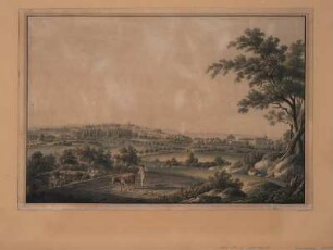 Ansicht von Zeitz, Umrißradierung, um 1820 : Prospekt der Koeniglich Saechsischen Stiftsstadt Zeitz / [nach der Natur gez. v. Carl Wagner?]. - Schleitz : L. v. Kleist , [um 1820]. - 1 Kunstbl. : Umrißradierung ; 50 x 34 cm