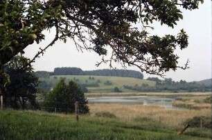Steinenbach: Kreuzweiher von oben
