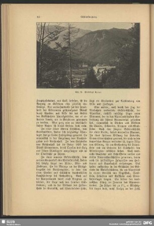 Wildbach Kreut