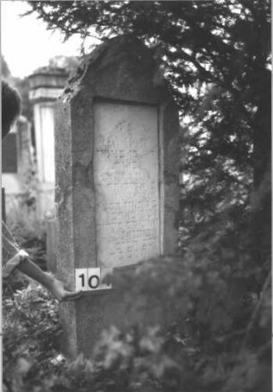 Grabstein 104 (Index: 100114255) Material: Kalkstein mit weißer Marmorplatte Zustand: gut Maße HxBxT: 173x63x22 cm Beschreibung: Stele, Sockel, mehrfach geschwungener Abschluß, Schriftplatte rechteckig: Grabstein 104
