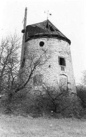 Dresden-Leutewitz. Leutewitzer Windmühle, Turmholländer, Baujahr 1839, Steinbacher Straße 56