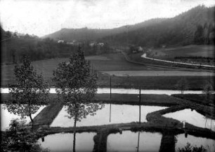 Fischteiche am Ortseingang von Streckewalde