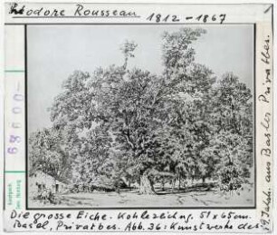 Théodore Rousseau: DIe große Eiche